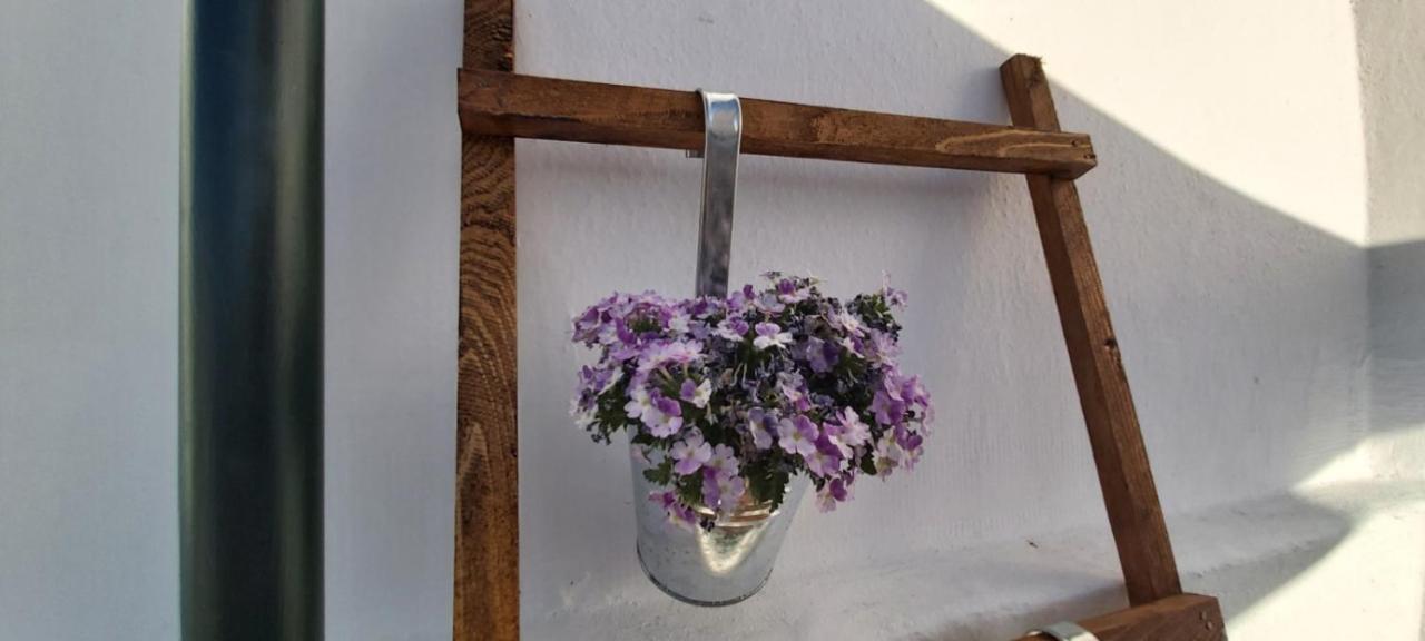 Ofelia Terrace House Daire Portimão Dış mekan fotoğraf